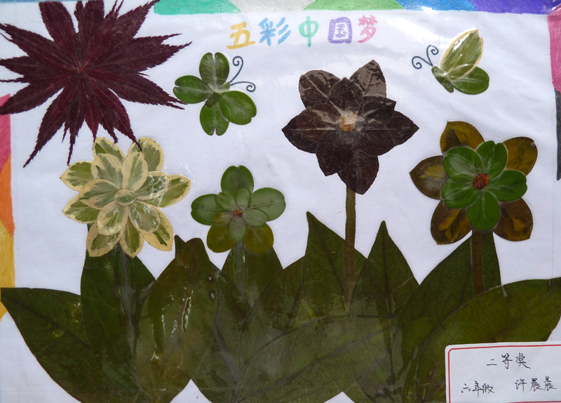 畅想中国梦 --福鼎市贯岭中心小学创意树叶、
